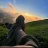 pms20067180137448