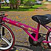 lutfi.lut77