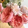 annajen26