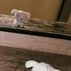 dpiee_ttxiu
