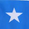 axmed.aweys.gacal