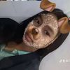 teymama1