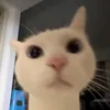_nwhh.uyinn_