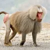 tuniemanazwy