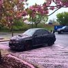 editscar2.0