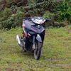minhphong836