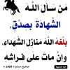 mansouribinalhaj