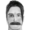 drandulrtik