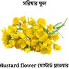 azizur.rahman9523