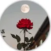 user8662301951293