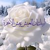 user4503635984022