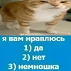 gogaroigxda