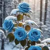 md.shahin.hossen771