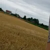 janeczek908