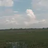 17904_dellbt