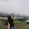 dewii.nofita
