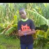 user13563816683765