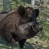 mango_toriski