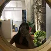 michaellaabing6
