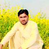 shahid.baloch79295