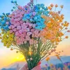 nashwa_025