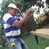 ynocencio.gonzale7