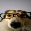 greckau_0meshka