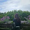 suri5696