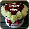 zulbiye.zulbiye3
