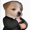 gbaoo2091