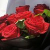 user11946866617302