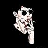hasnain23433
