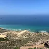 zazou07144