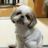 aki.poko0109