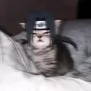 pads_2k