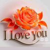 user2234602576830