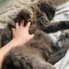 artem_22889