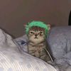 el_gahaz