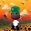 tyler.the.flowerboy