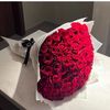 hamda7668
