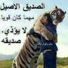 user537411477352