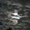 darkness_615