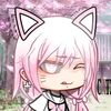 catz336