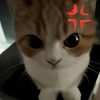 niga_072