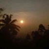 samanjayasinghe98