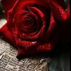 fatima.fatima49182