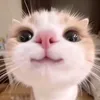 hug0_cd