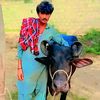 wafa__wahid__panhwar