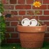 i._.love._.minions