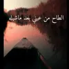 user6246161004327